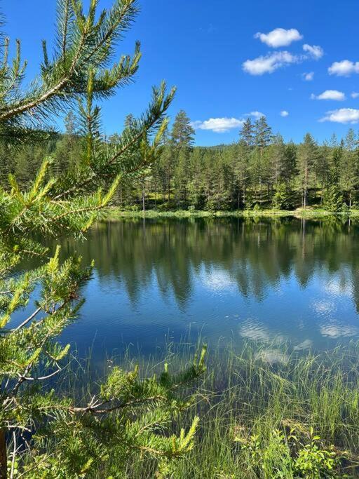 Tretoppen - Ny Moderne Hytte, Unike Finnskogen Torsby Bagian luar foto