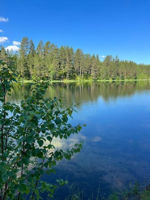 Tretoppen - Ny Moderne Hytte, Unike Finnskogen Torsby Bagian luar foto